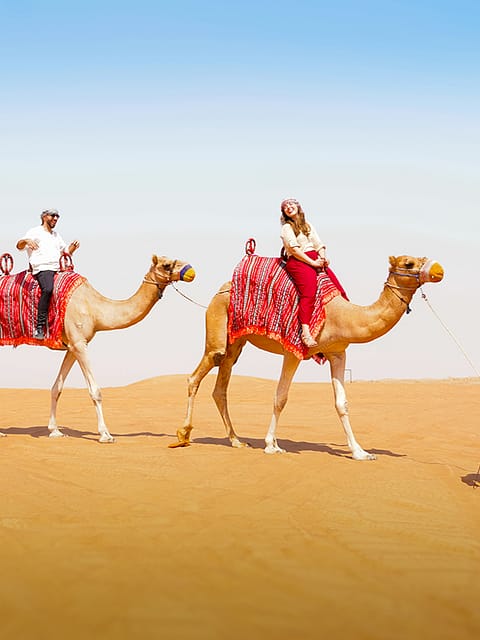 desert safari dubai bookings
