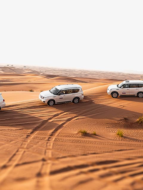 Dubai Desert Safari Bookings