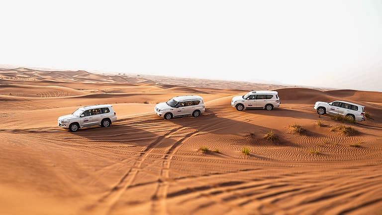 Dubai Desert Safari Bookings